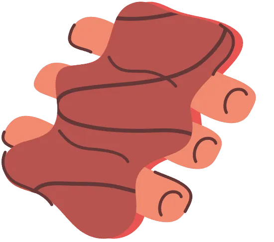 Ribs